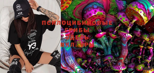 apvp Протвино