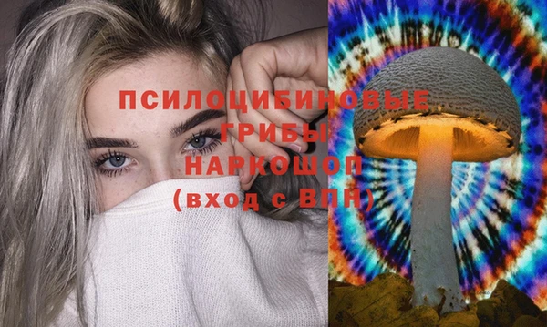 спиды Абинск