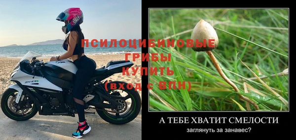 каннабис Абаза